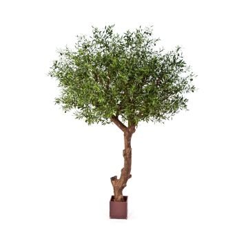 Olivo artificial NIKOLAS, tronco natural, frutos, verde, 270cm