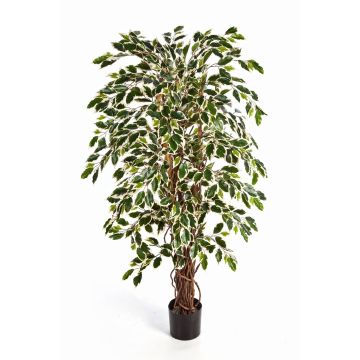 Ficus sintético JARLAN, troncos naturales, verde-blanco, 150cm