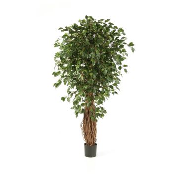 Ficus de imitación LUCIUS, troncos naturales, verde, 150cm