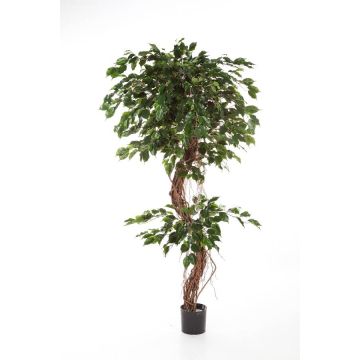 Ficus exotica artificial LUANO, troncos naturales, verde, 180cm
