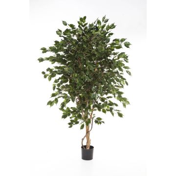 Ficus artificial DAMINO, troncos naturales, verde, 180cm