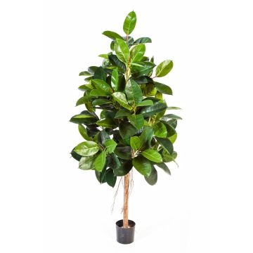 Ficus elastica artificial DEVI, tronco natural, verde, 210cm