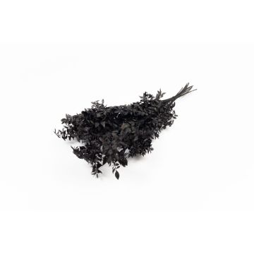 Ramitas secas de rusco AGNIATA, negras, 70-75 cm, Ø 17 cm