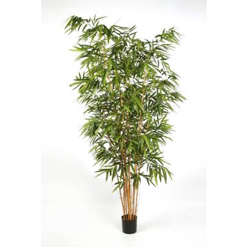 Árbol de bambú de imitación FUDO, troncos naturales, verde, 300cm