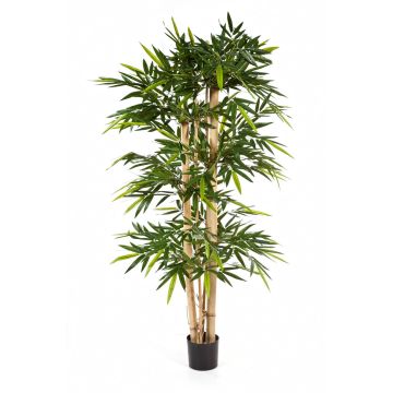 Árbol bambú artificial KISHO, tronco bambú natural, verde, 150cm