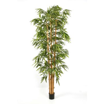 Árbol bambú artificial KIYOSHI, caña bambu natural, verde, 240cm