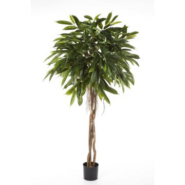 Árbol longifolia sintético DALIKA, tronco natural, verde, 180cm