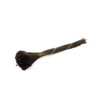 Ramo seco de flores secas AKALITI, negro, 40-55 cm, Ø 11 cm