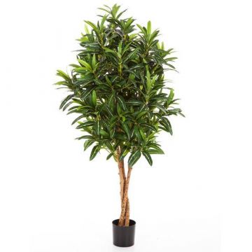 Arbusto longifolia sintética AVERY, tronco natural, verde, 105cm