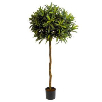 Arbusto longifolia imitación ISABELLA, tronco real, verde, 150cm