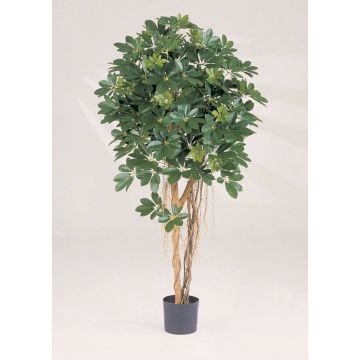 Schefflera artificial SIENNA, troncos naturales, verde, 110cm