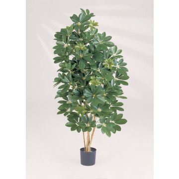 Schefflera PREMIUM artificial SAMANTHA, tronco natural, verde, 80cm