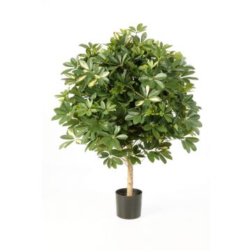 Arbusto Schefflera artificial ANTHONY, tronco real, verde-blanco, 110cm, Ø90cm