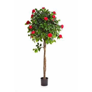 Árbol Camellia sintético ERINA, tronco real, flor, fucsia, 130cm