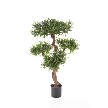 Árbol Podocarpus artificial TITUS, tronco natural, verde, 110cm
