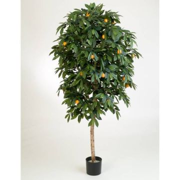Árbol naranjo artificial CELIA, tronco real, frutos, verde, 110cm