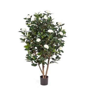 Camellia artificial KAORI, tronco natural, flores, blanco, 150cm