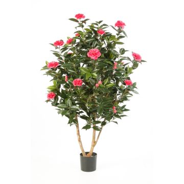 Camellia artificial KAORI, tronco natural, flores, fucsia, 150cm