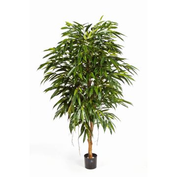 Longifolia reina artificial HISA, tronco natural, verde, 180cm