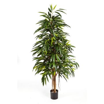 Longifolia reina artificial LENYA, tronco natural, verde, 150cm