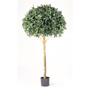 Laurel artificial SOKRATES, tronco natural, verde, 170cm, Ø90cm