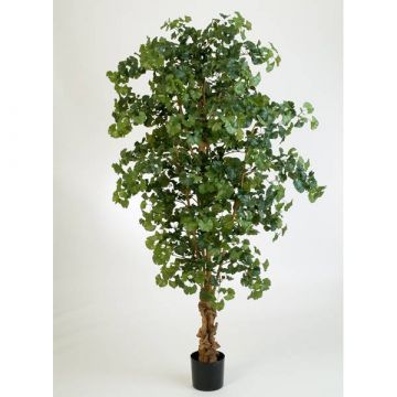 Árbol Ginkgo de imitación JUAN, tronco natural, verde, 210cm