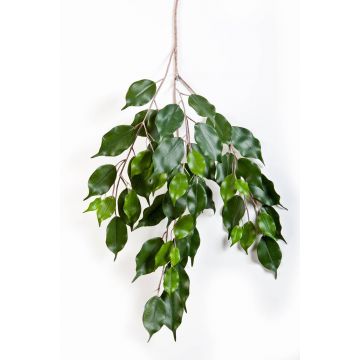 Rama Ficus exótica artificial SUNIL, difícil inflamar, verde, 75cm