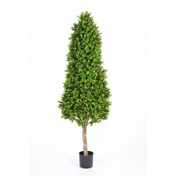 Seto boj triangular artificial TOM, tronco natural, verde, 170cm
