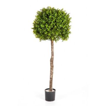 Árbol boj artificial TOM, tronco real, verde, 105cm, Ø40cm
