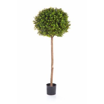 Árbol boj artificial TOM, tronco real, verde, 140cm, Ø50cm