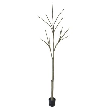 Tronco de árbol artificial sin hojas YANING con ramas, marrón-gris, 270cm