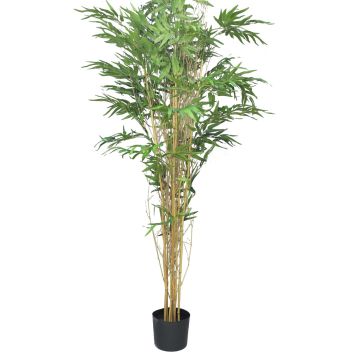 Bambú artificial WANNING, troncos reales, 180cm