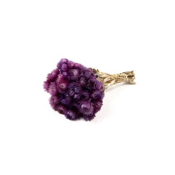 Ramo de flores secas BIBIANA, lila, 35-45 cm, Ø 15 cm