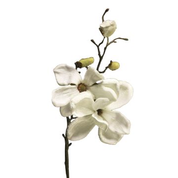 Magnolia de terciopelo YUNFAN, crema, 45cm
