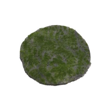 Alfombra decorativa de musgo FANGYU, verde, Ø30cm