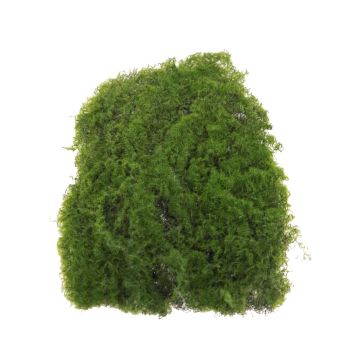 Alfombra de musgo artificial islandés ENKAI, verde, 22x15cm