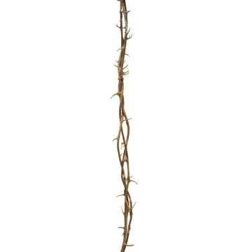 Guirnalda artificial de corona de Cristo WANNIE, marrón, 105cm