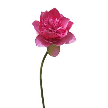 Flor de loto artificial MENGLIN, rosa, 50cm