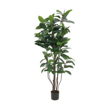 Ficus elastica plástico VICA, tronco artificial, verde, 150cm