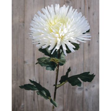 Crisantemo artificial NANDOR, blanco-crema, 90cm, Ø18cm