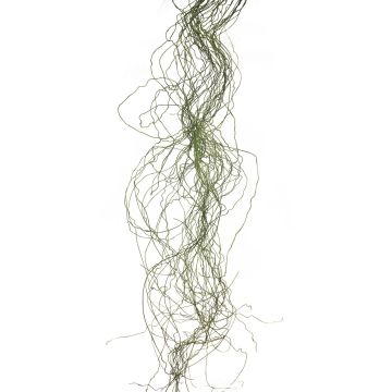 Hierba artificial de juncus effusus XINNUO, 48 hojas verde, 150cm