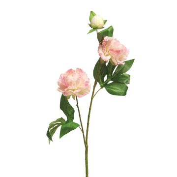 Rama decorativa de peonía YILING, rosa-blanco, 65cm