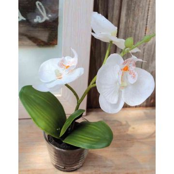 Comprar orquídea artificial en la tienda online de artplants