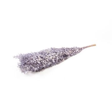 Ramitas secas de rusco AGNIATA, lila, 70-75 cm, Ø 17 cm