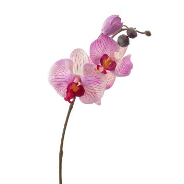 Orquídea Phalaenopsis artificial VANESSA, rosa-fucsia, 30cm, Ø2-8cm