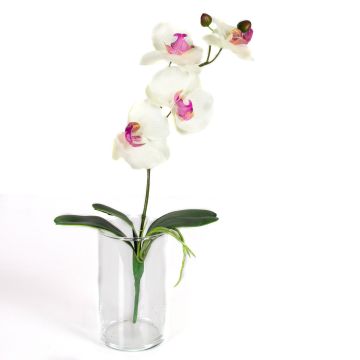Orquídea Phalaenopsis sintética MADOU vara fijación, blanco-rosa, 40cm, Ø8-9cm