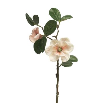 Magnolia artificial KETIAN, blanco-rosa, 50cm