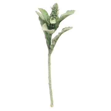 Bupleurum artificial CHENYE, verde, 35cm