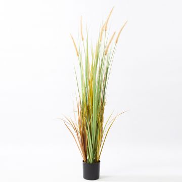 Fuente hierba plástica LYONEL panojas, maceta decorativa, verde-marrón, 120cm