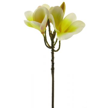 Flor artificial de frangipani ZIDONG, amarillo-crema, 35cm